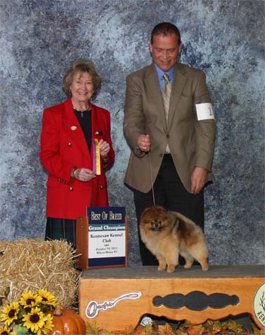 GCH picture